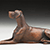 Side 1, natural ears